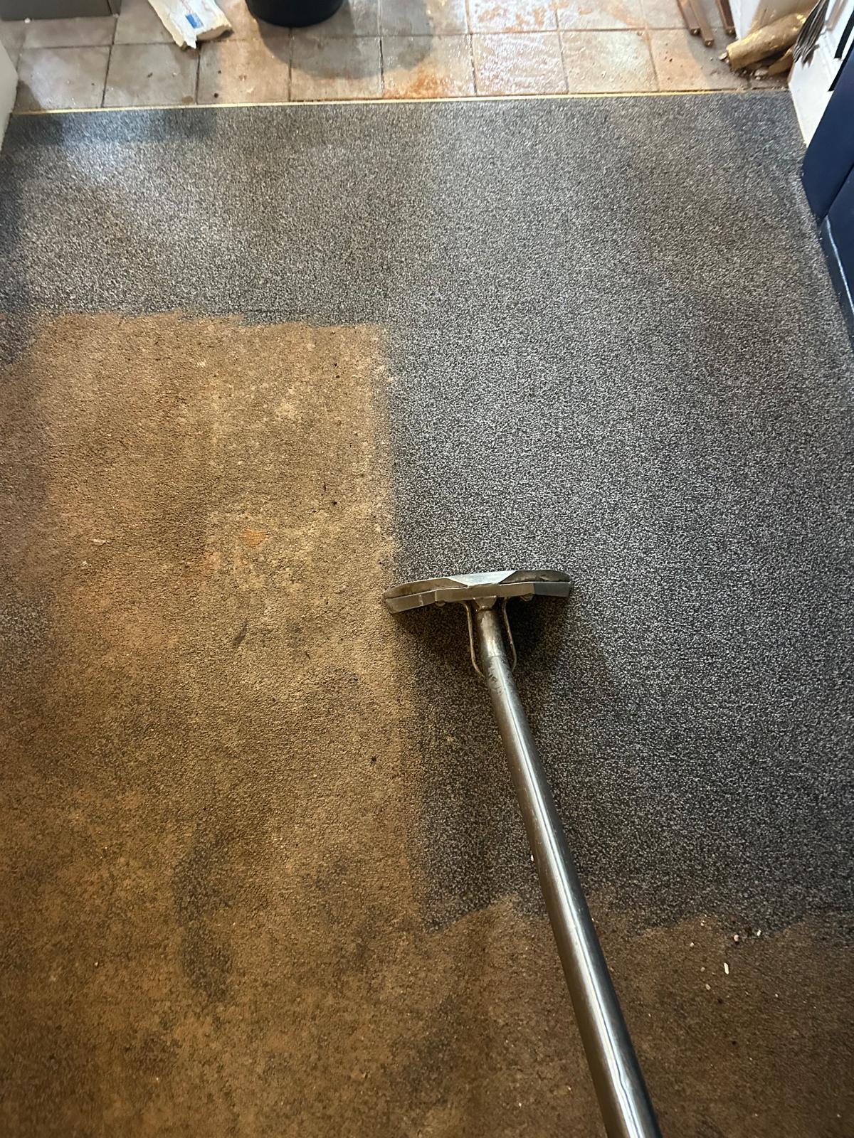 Carpet deep clean before and after